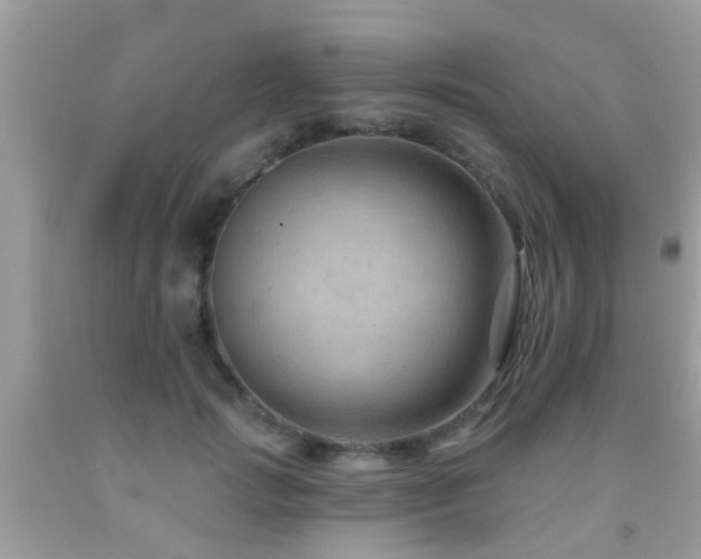 X0000092030749200709061614