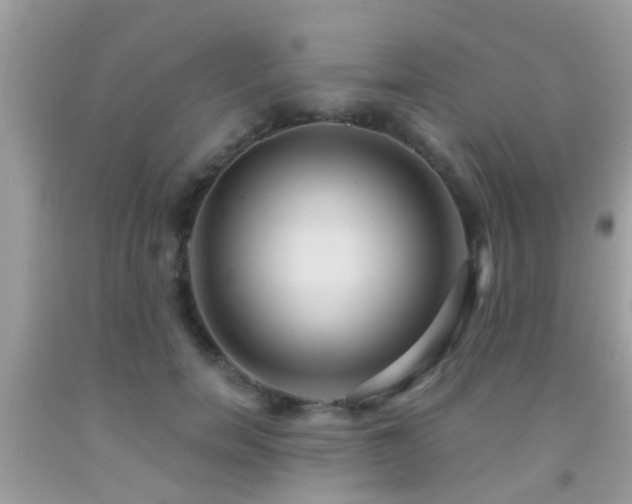 X0000092030750200709061614