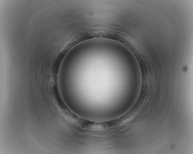 X0000092030751200709061614