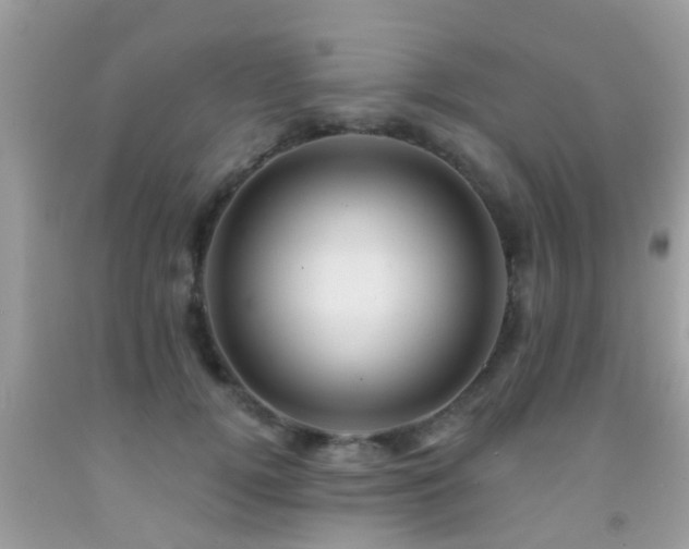 X0000092030752200709061614
