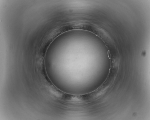 X0000092030753200709061614