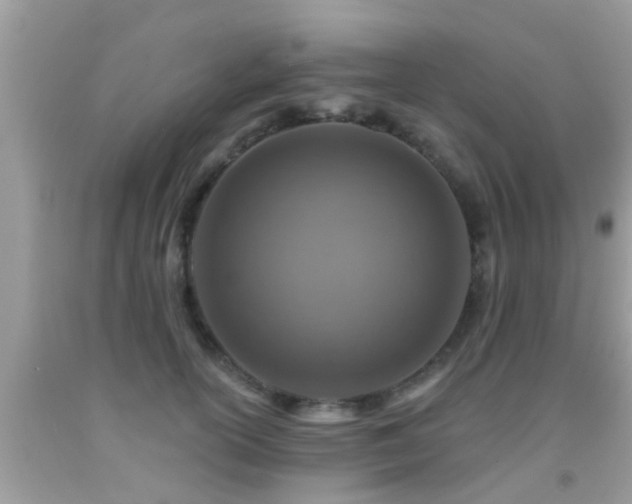 X0000092030754200709061614