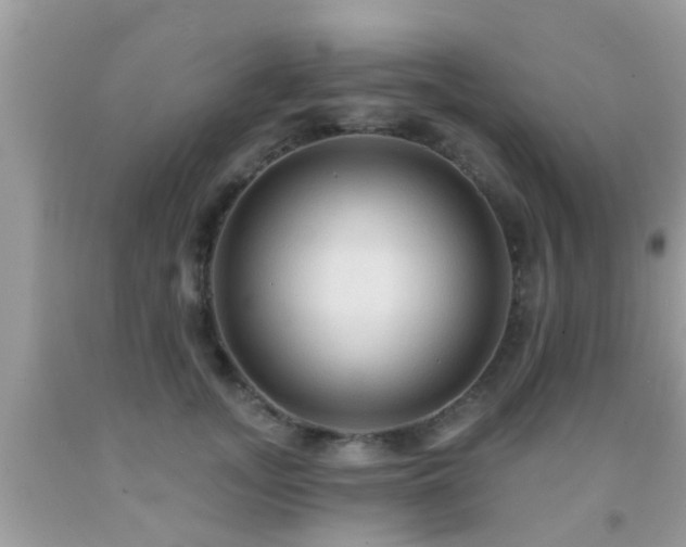 X0000092030755200709061614