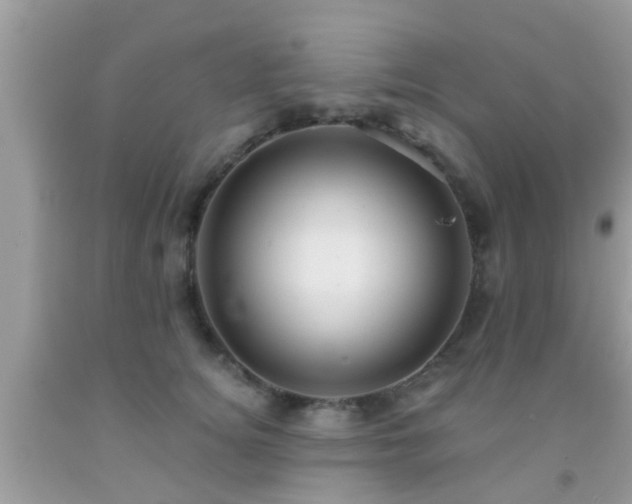 X0000092030756200709061614