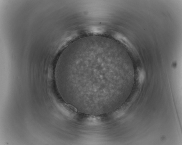 X0000092030760200709061614