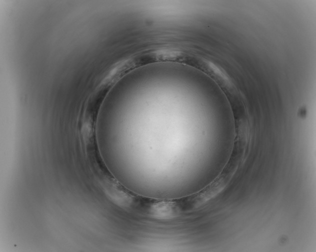 X0000092030761200709061614