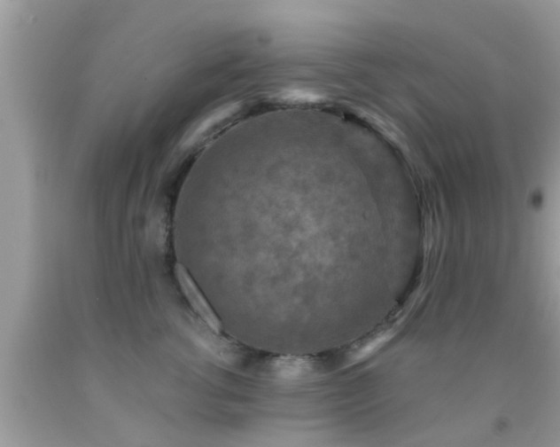 X0000092030762200709061614