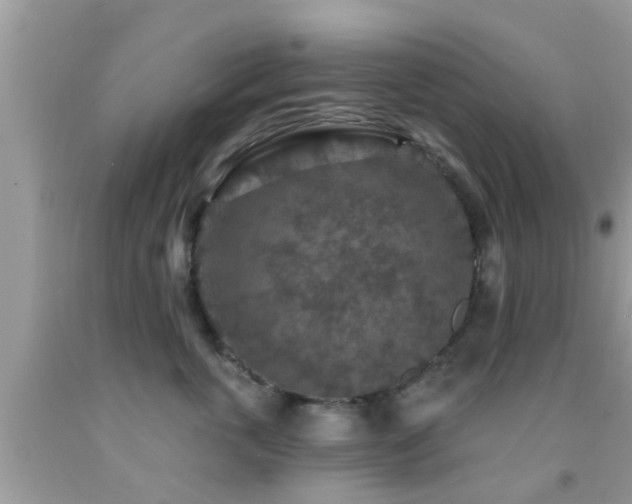 X0000092030763200709061614