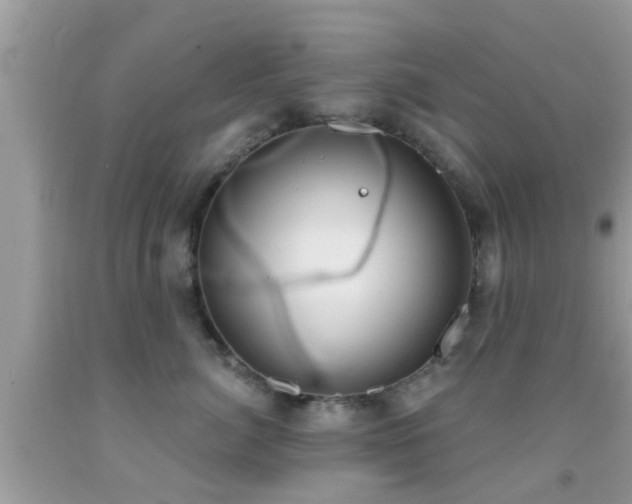 X0000092030764200709061614