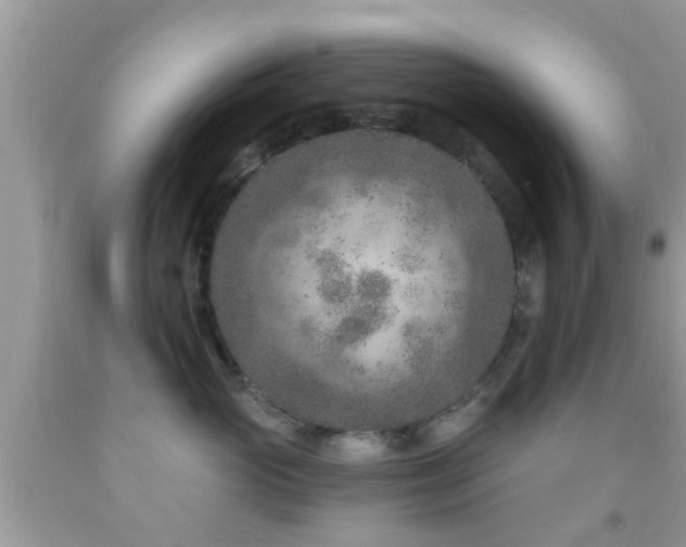 X0000092030765200709061614
