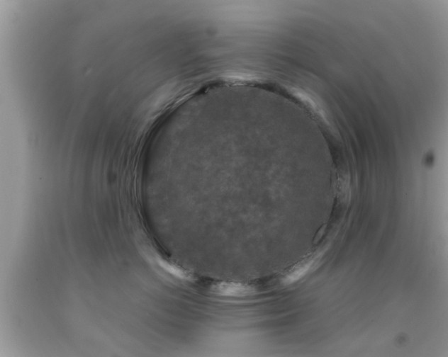 X0000092030766200709061614