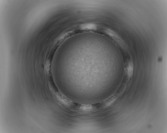 X0000092030767200709061614