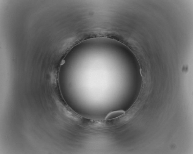 X0000092030768200709061614
