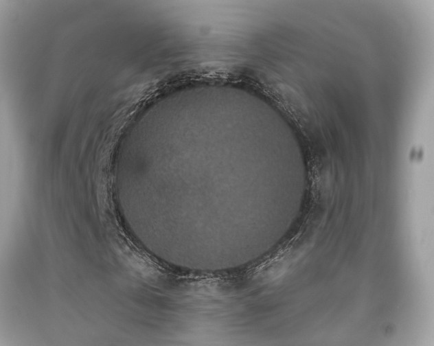 X0000092030769200709061613