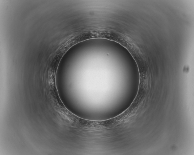X0000092030770200709061613
