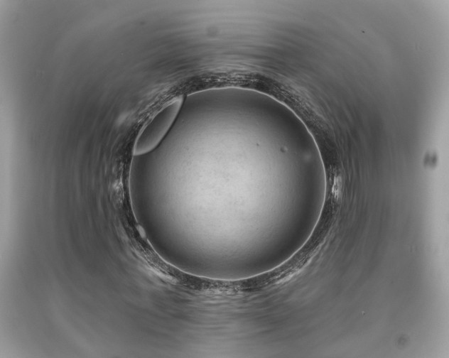 X0000092030771200709061613
