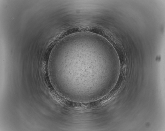 X0000092030772200709061613