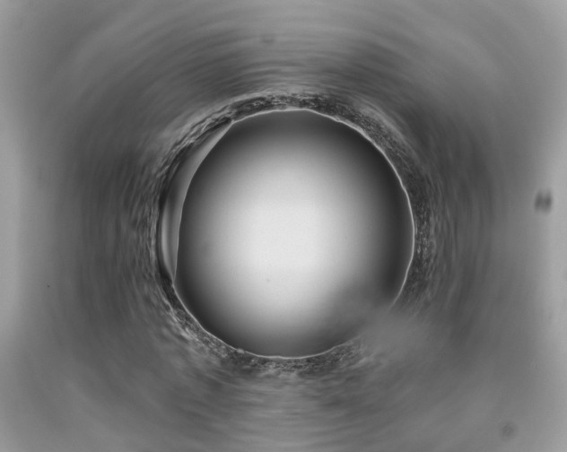 X0000092030773200709061613
