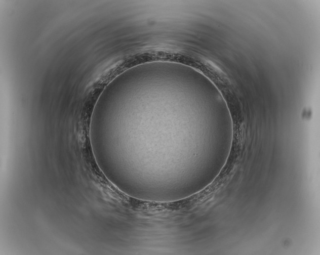 X0000092030774200709061613