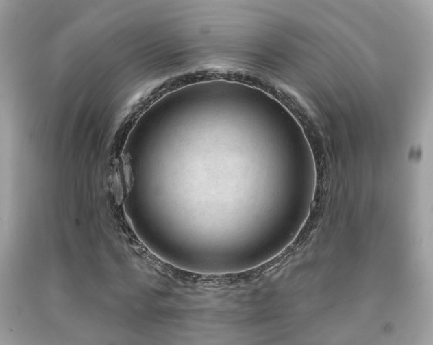 X0000092030776200709061613
