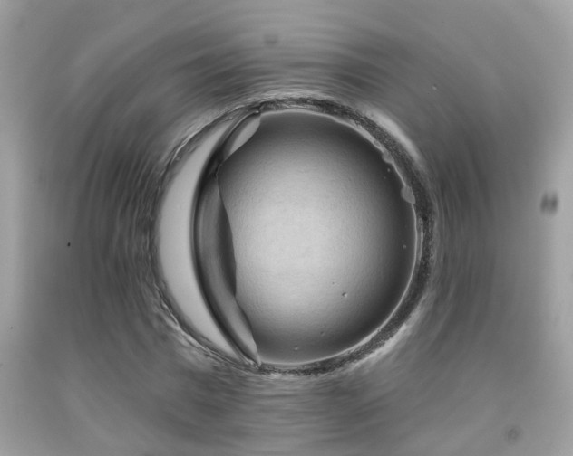 X0000092030777200709061613