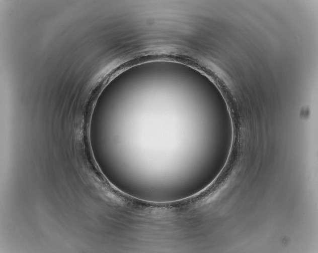 X0000092030778200709061613