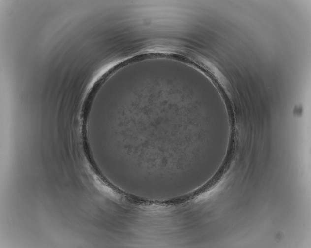 X0000092030779200709061613
