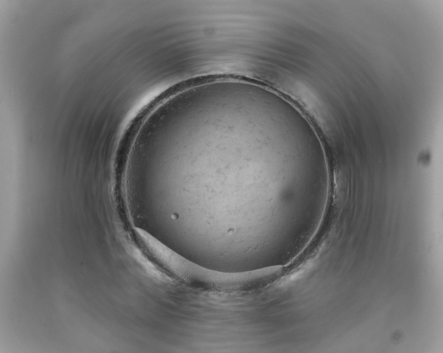 X0000092030780200709061613
