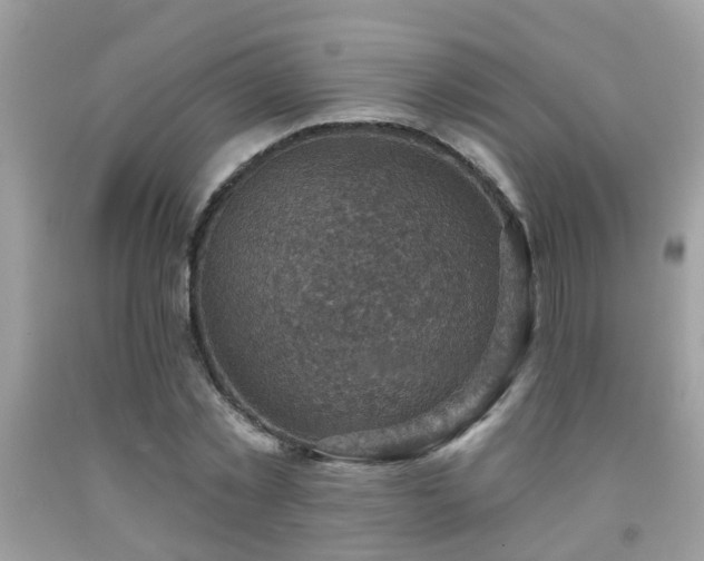 X0000092030781200709061613