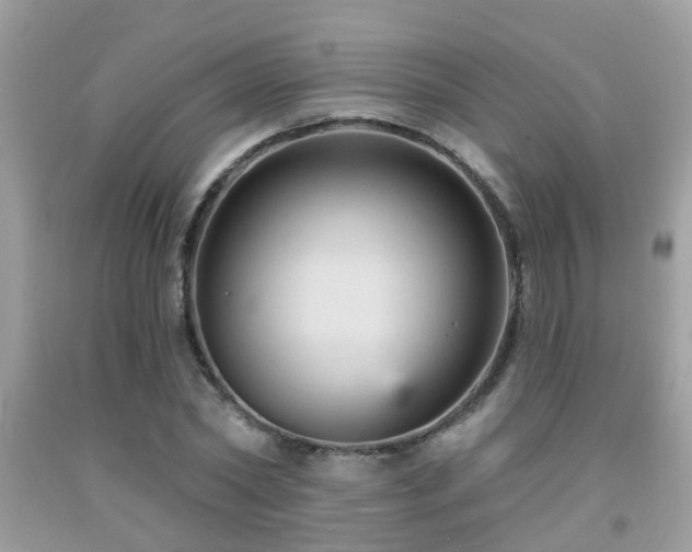 X0000092030782200709061613