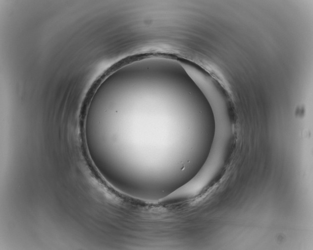 X0000092030784200709061613