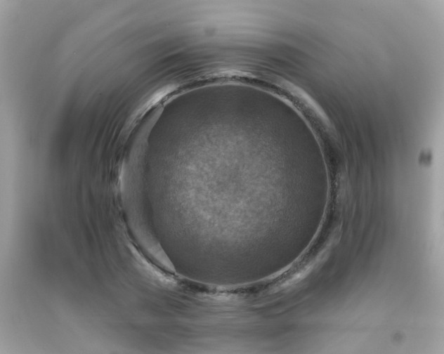X0000092030785200709061613
