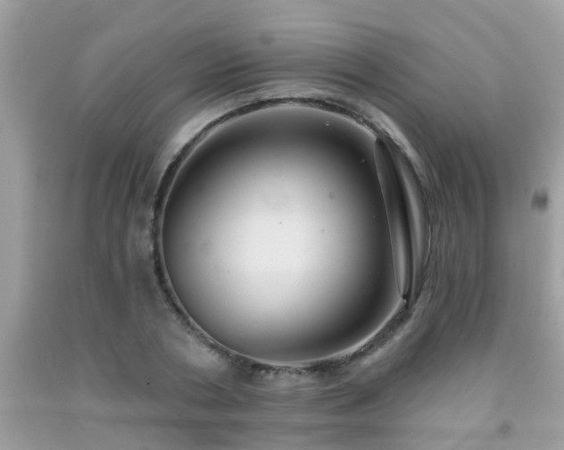 X0000092030786200709061613