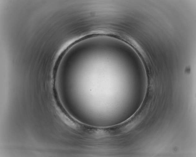 X0000092030787200709061613