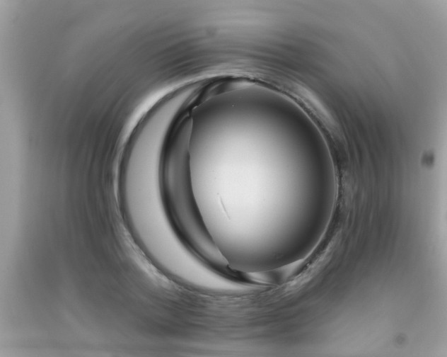X0000092030788200709061613