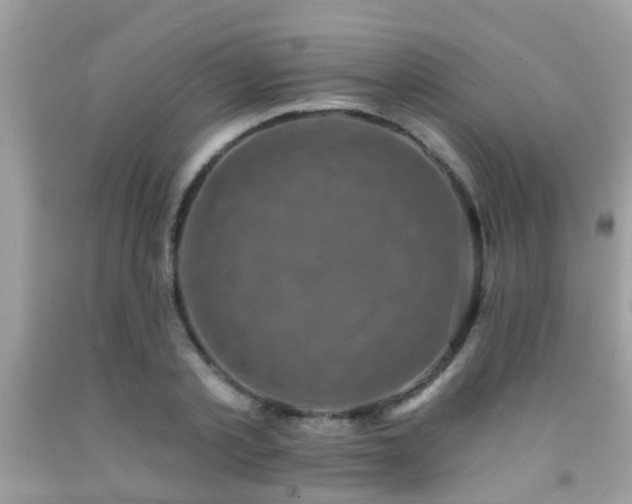 X0000092030789200709061613