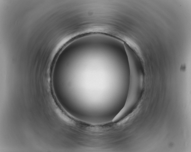 X0000092030792200709061613