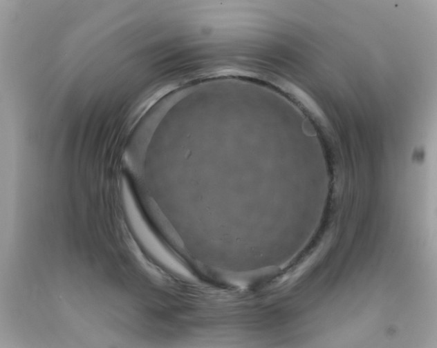 X0000092030793200709061613
