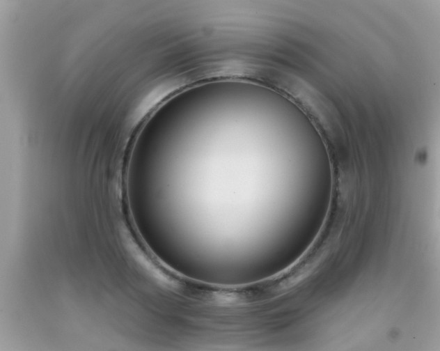 X0000092030794200709061613