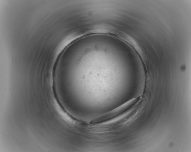 X0000092030795200709061613