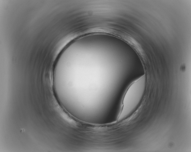 X0000092030796200709061613