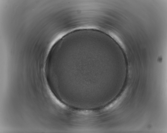 X0000092030797200709061613