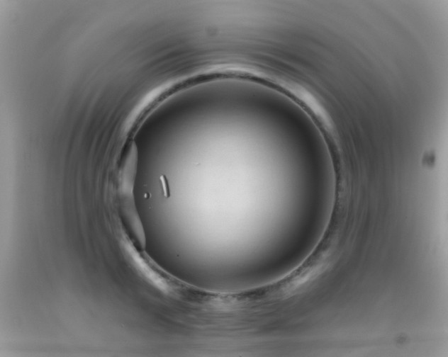 X0000092030799200709061613