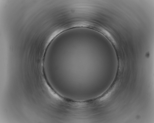 X0000092030802200709061613