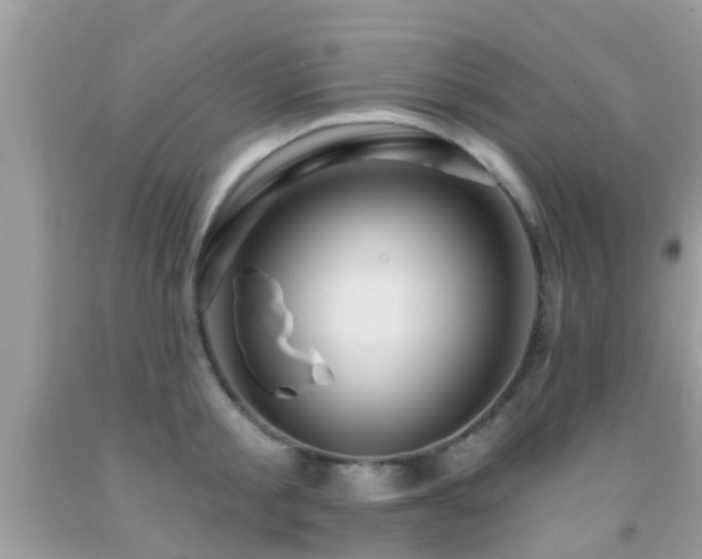 X0000092030805200709061613