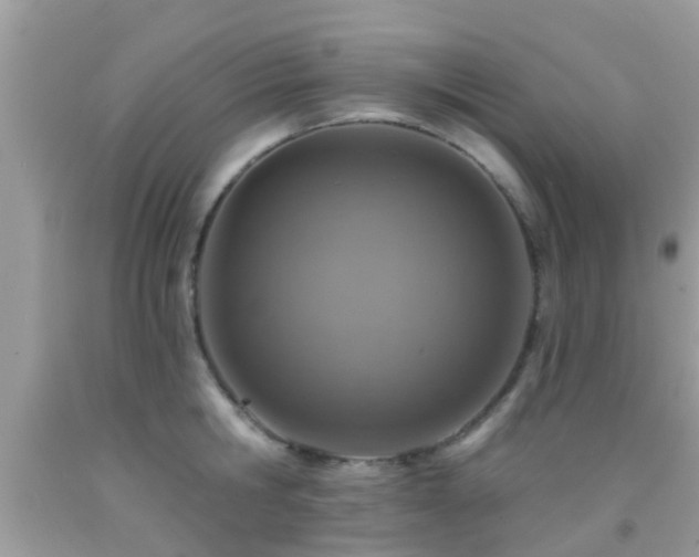 X0000092030806200709061613