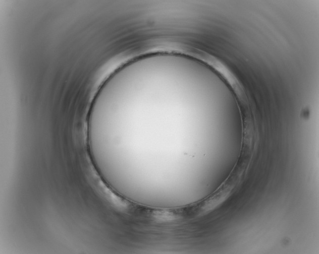 X0000092030807200709061613