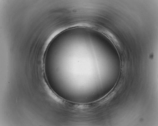X0000092030808200709061613
