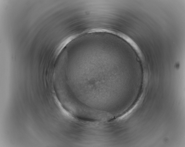 X0000092030809200709061613