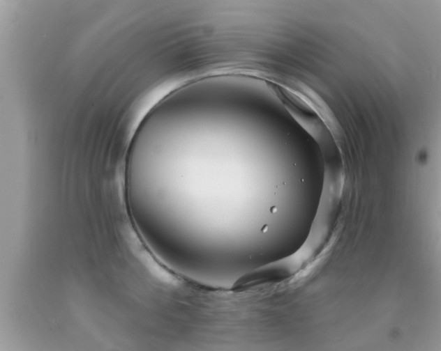 X0000092030812200709061613